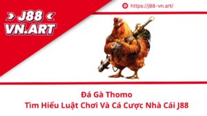 Đá Gà Thomo Tìm Hiểu Luật Chơi Và Cá Cược Nhà Cái J88