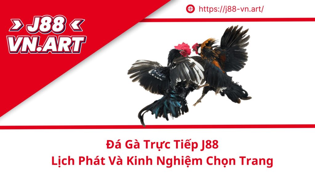 Đá Gà Trực Tiếp J88 Lịch Phát Và Kinh Nghiệm Chọn Trang